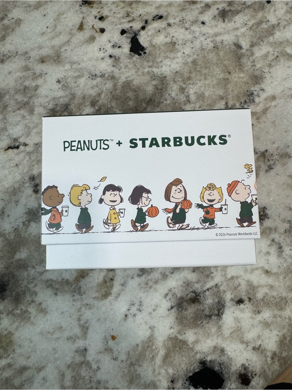 Starbucks x Peanuts Great Pumpkin Ceramic Mug 14 oz 2026 New in Box